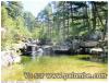 piscine naturelle