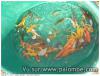 Petites koi 2014