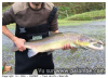 poissons des gaves