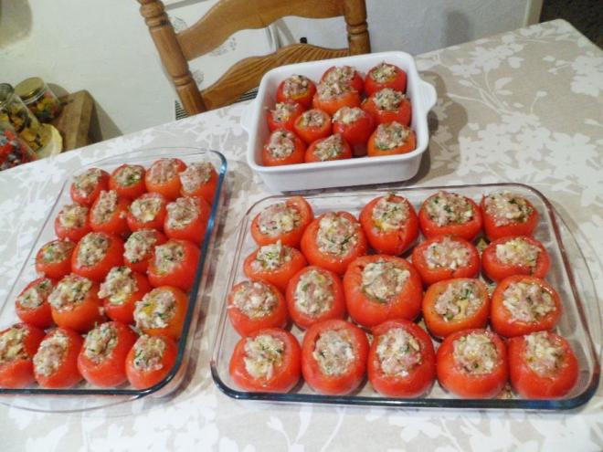 20230705132315tomatesfarcies001.jpg