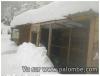 La volière sous la neige!!