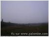 Palombes dans la brume le26/10/16