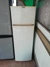 Frigo
