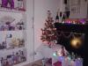 Sapin de Noël