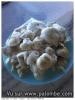 champignon