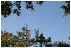 Recul 9/1182014