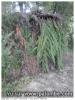 voila cabane