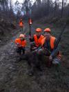 Battue SANGLIER