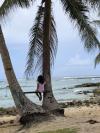 Attente du coro entre deux cocos