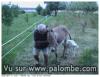 Tout naturellement