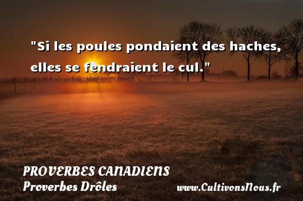 20200802100348proverbe-drole-arabe_9.jpg