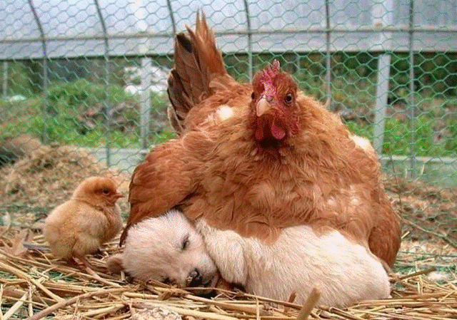 20201205094306image002.gif