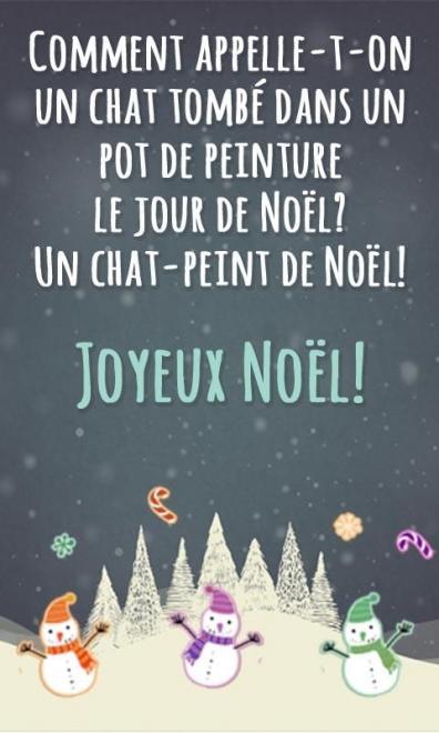 20201224105003proverbe-drole-sur-noel_3.jpg