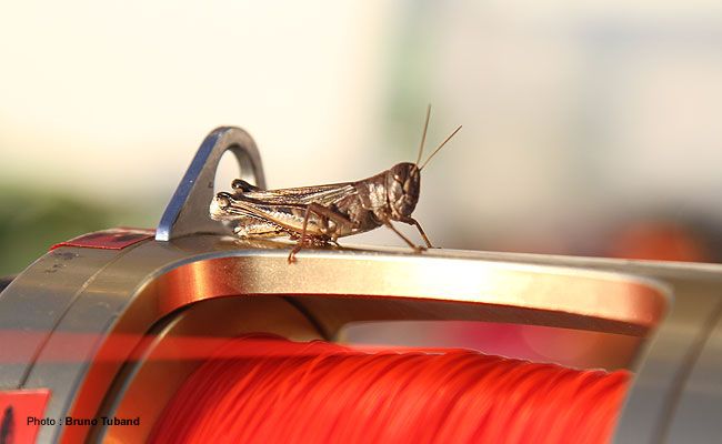 20210121092714img10.jpg