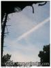 Sortis de bocagere le 30/11/15