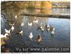 sur le plan d eau