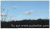Palombe