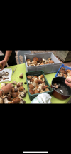 quelque part en France