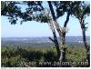 vue de la cabane