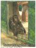 Beauval