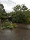 Tempete