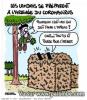 Lutte contre le coronavirus