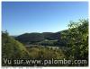 palombière