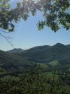 palombière