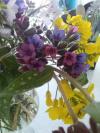Fleurs sauvages