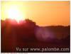 matin d'automne