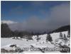 la brume monte vite
