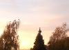 belle pause