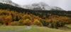 premiere chute de neige