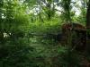 cabane