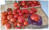 Tomates !