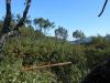 Ma cabane