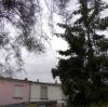 Palombiere en ville (......)