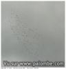 Vol palombe