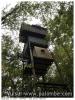Cabane