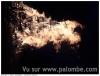 Feu de St.Jean 2018