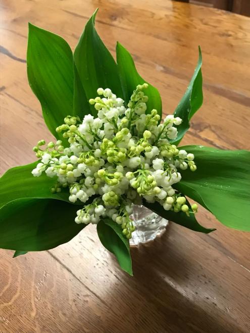 20230423135210muguet23.04.23.jpg