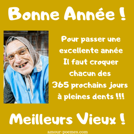 20211231223723carte-bonne-annee-drole-message-meilleurs-voeux-humour-souhaits-marrants-image-1.png