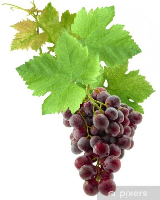 20220906140423stickers-grappe-de-raisin-with-feuilles-de-vigne.jpg