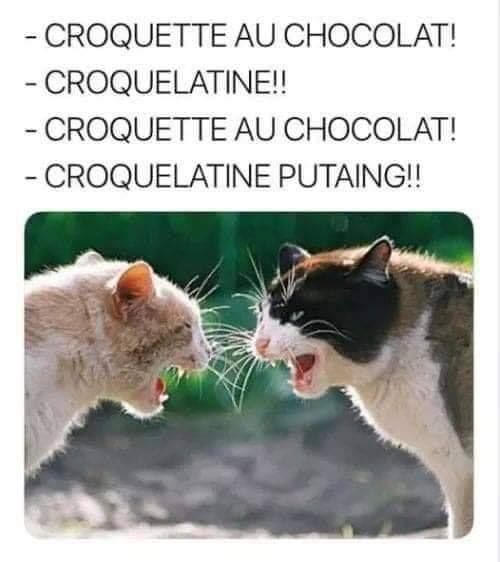 20221209223053pain_au_chocolat_ou_chocolatine_le_katz_1.jpg