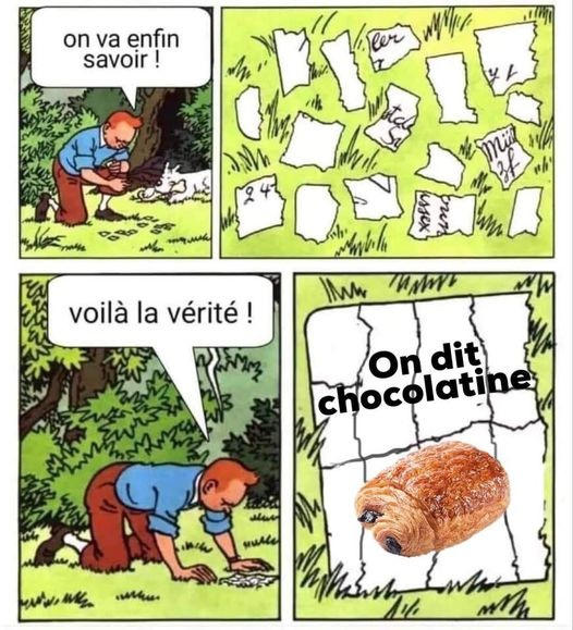 20221210085013pain-au-chocolat-ou-chocolatine.jpg