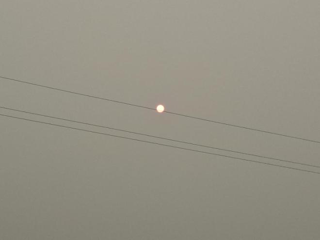 2026072508483324325.jpg
