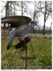 Rouleau palombe 46