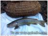 Sortie pêche