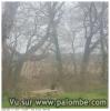 Fin des hivernantes