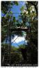 cabane